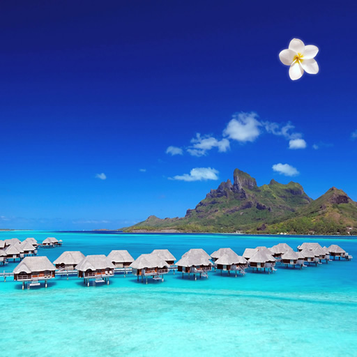 Bora Bora, Tahiti, Moorea, Urlaub, Reisen, Flüge, iPhone Entwicklung, Apps, App Programmierung, Schweiz, Xcode, Objective-C, Games, Weblooks